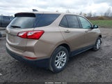 Chevrolet Equinox Ls 2GNAXHEV7K6218585 снимка