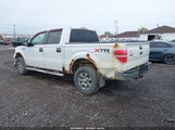 Ford F-150 Xlt 1FTFW1EF3BFC61697 снимка