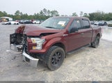 Ford F-150 Xlt 1FTFW1EF9FKD22466 снимка