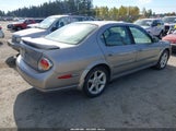 Nissan Maxima Se JN1DA31DX2T409130 fotografie