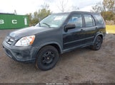 Honda Cr-V Lx JHLRD78506C031926 снимка