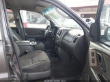 Ford Escape Xlt 1FMYU93104KB26669 снимка