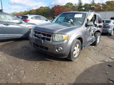 Ford Escape Xlt 1FMCU03759KB19959 снимка