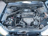 Honda Accord Lx 1HGCG5645WA225339 снимка