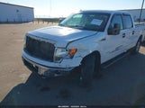 Miniaturka zdjęcia 6
