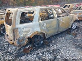 Ford Escape Xlt 1FMCU03799KC57665 снимка