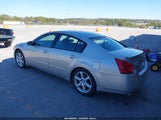 Nissan Maxima 3.5 Se 1N4BA41E14C849636 снимка