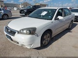 Chevrolet Malibu Lt 1G1ZT51806F144209 fotografie