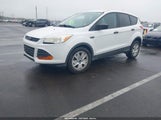 Ford Escape S 1FMCU0F74EUC24034 снимка