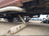 Chevrolet Silverado  Ls 1GCEK19T7XE172607 снимка
