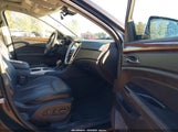 Cadillac Srx Performance Collection 3GYFNCE30GS527646 fotografie