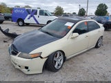Acura Tsx JH4CL96986C000221 снимка