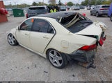 Acura Tsx JH4CL96986C000221 снимка