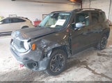 Jeep Renegade Trailhawk ZACCJBCT2GPC99362 снимка