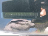 Chevrolet Traverse 1Lt 1GNKVGED3BJ251940 снимка