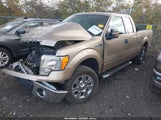Miniaturka zdjęcia 2