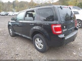 Ford Escape Xlt 1FMCU9DG3BKA26429 снимка