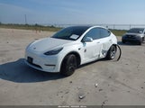 Miniaturka zdjęcia 2