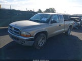 Dodge Dakota Slt 1D7GL42N23S302653 снимка