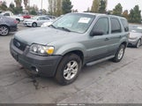 Ford Escape Xlt 1FMCU03Z77KB08315 снимка