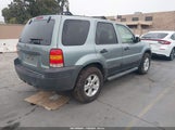 Ford Escape Xlt 1FMCU03Z77KB08315 снимка