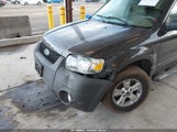 Ford Escape Xlt/Xlt Sport 1FMYU03187KB51528 photo