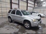 Ford Escape Hybrid 1FMYU96H26KA52702 photo