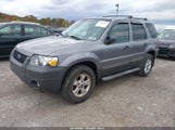 Ford Escape Xlt 1FMYU03Z77KA44010 снимка