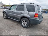 Ford Escape Xlt 1FMYU03Z77KA44010 снимка