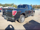 Ford F-150 Stx/Xl 1FTEX1EW9AFD16483 fotografie