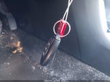 Miniaturka zdjęcia 11