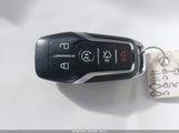 Miniaturka zdjęcia 11