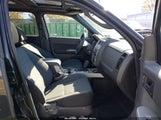 Ford Escape Xlt 1FMCU9DG7BKA12209 fotografie
