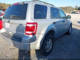 Ford Escape Xlt 1FMCU9D78AKD30127 fotografie