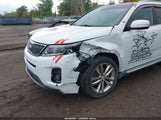 Kia Sorento Limited V6 5XYKW4A70EG438383 fotografie