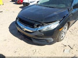 Honda Civic Lx 2HGFC2F57HH517627 снимка