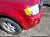Ford Escape Xlt 1FMCU93128KC67680 снимка