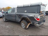 Ford F-150 Xlt 1FTFX1EF8CFB49783 fotografie