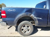 Ford F-150 Fx4/Lariat/Xl/Xlt 1FTPX14535FB69861 снимка