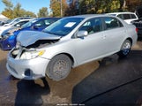 Toyota Corolla Le 5YFBU4EE5DP189202 fotografie