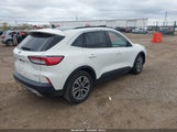 Ford Escape Sel 1FMCU0H67LUB98689 снимка