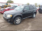 Ford Escape Xlt 1FMCU0DG7BKC49410 снимка