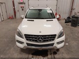 Mercedes-Benz Ml 350 4Matic 4JGDA5HB2EA294466 снимка