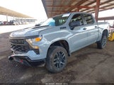Chevrolet Silverado  4Wd Short Bed Custom Trail Boss 3GCUDCE8XRG314561 снимка