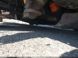 Honda Civic Lx-P 2HGFC4B04GH303005 снимка
