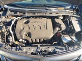 Toyota Corolla Le 2T1BU4EE2DC083936 fotografie
