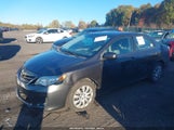 Toyota Corolla Le 2T1BU4EE2DC083936 fotografie