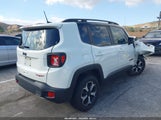Jeep Renegade Trailhawk 4X4 ZACNJBC12KPK68268 fotografie