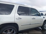 Cadillac Escalade Luxury 1GYS4BEF9ER212141 снимка