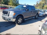 Ford F-150 Xlt 1FTFW1EF2EKF97997 снимка